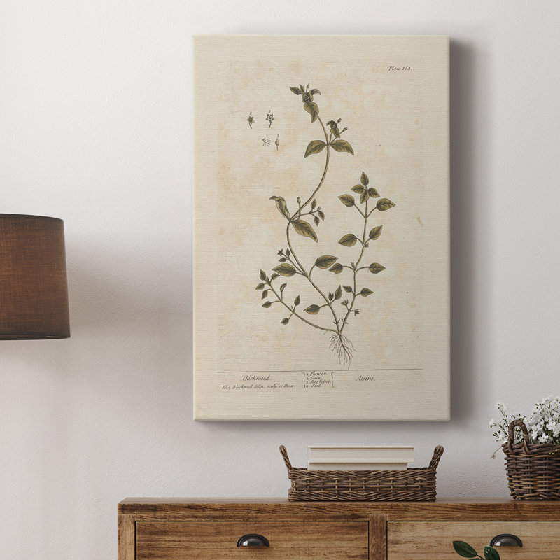 Imprimé floral rétro CLxxv - galerie enveloppée de cavas, H 36 po x l 24 po