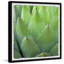 Pointy Leaves - Single Picture Frame Painting-1477133999