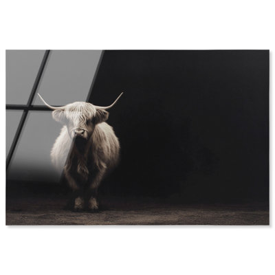«Highland Cow II Shadowbox», reproduction d'art mural par Notoriart, cadre noir, 30 x 20