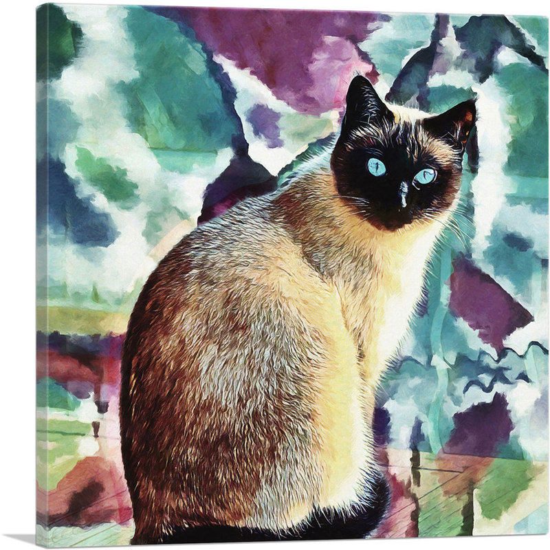 «Siamese Cat Breed Colors», impression sur toile tendue, H 36 po x l 36 po x 1,5 po