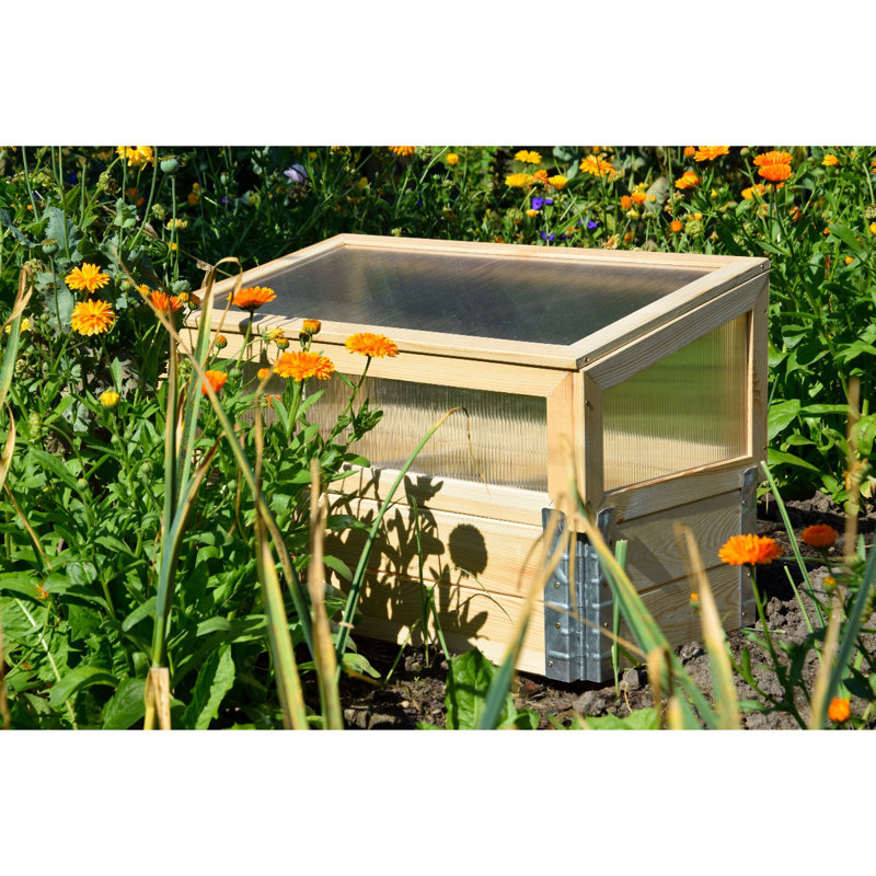 Aakira 1.5 Ft W x 2.5 Ft D Cold Frame