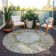 Fresnel Washable Oriental Indoor / Outdoor Rug