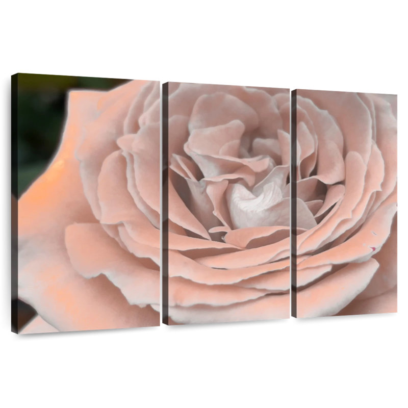 Soft Petal Rose, 28" H x 45" W