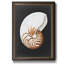 Graphic Nautilus - Peinture sur toile encadrée-1696427890