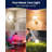 Wireless Light Bulb Rechargeable Rgb Led Bulb