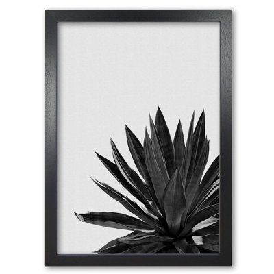 Agave Cactus - Single Picture Frame Print