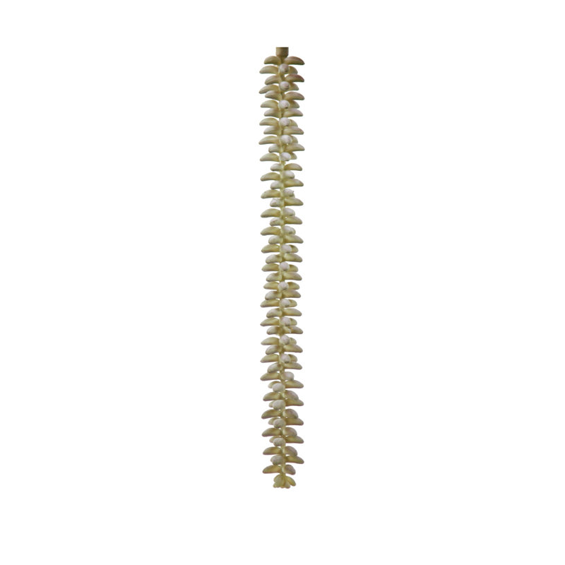 Grappe de cactus artificiel diy feuillage, 12 po