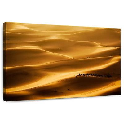 Alvord Camels In Sahara Desert
