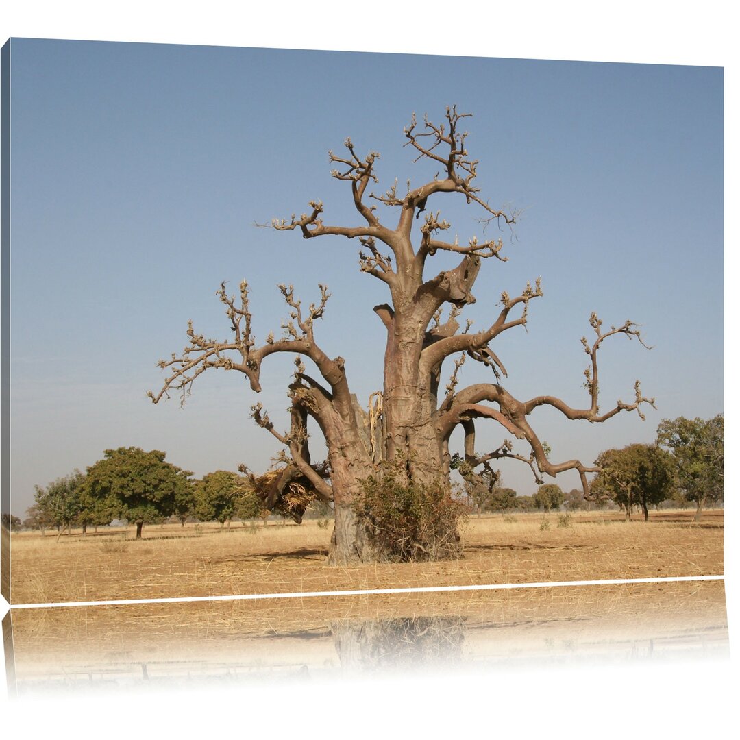 Leinwandbild Vertrockneter Baum in der Savanne