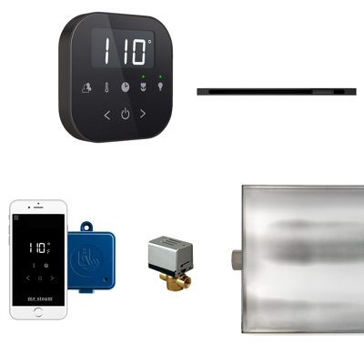 Steam Generator Control