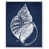Cadre blanc n'est pas disponible
