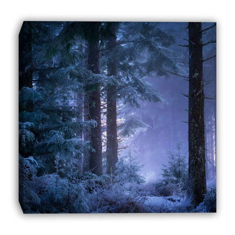 Art mural sur toile Misty Evergreen Trail Winter Forest, 20 po x 20 po