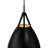 Roxeanne 1 Light Pendant