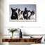Chiots bouledogue français Brampt-106428010
