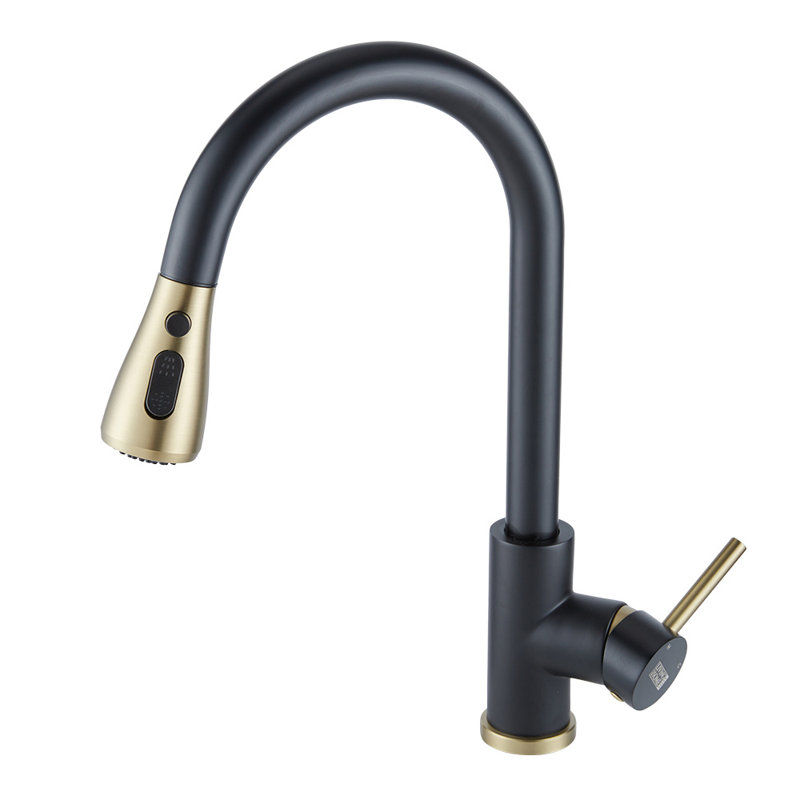 Belfry Kitchen Orin Kitchen Faucet, Matte Black/Gold