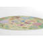 Tapis pour enfant Momeni-104294674