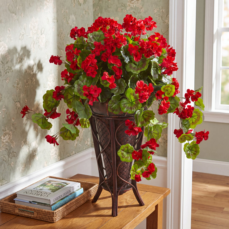 Geranium Arrangement in Planter