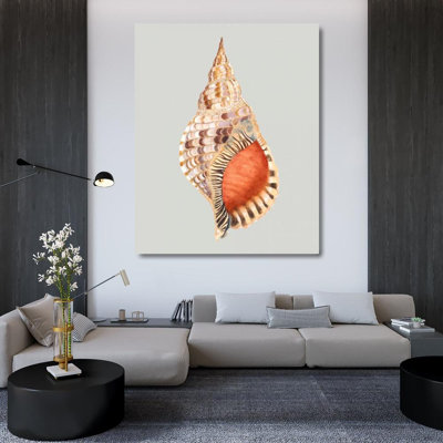 Breakwater Bay Willett, Michael Gallery Wrapped Canvas Art Titled: Giant Triton