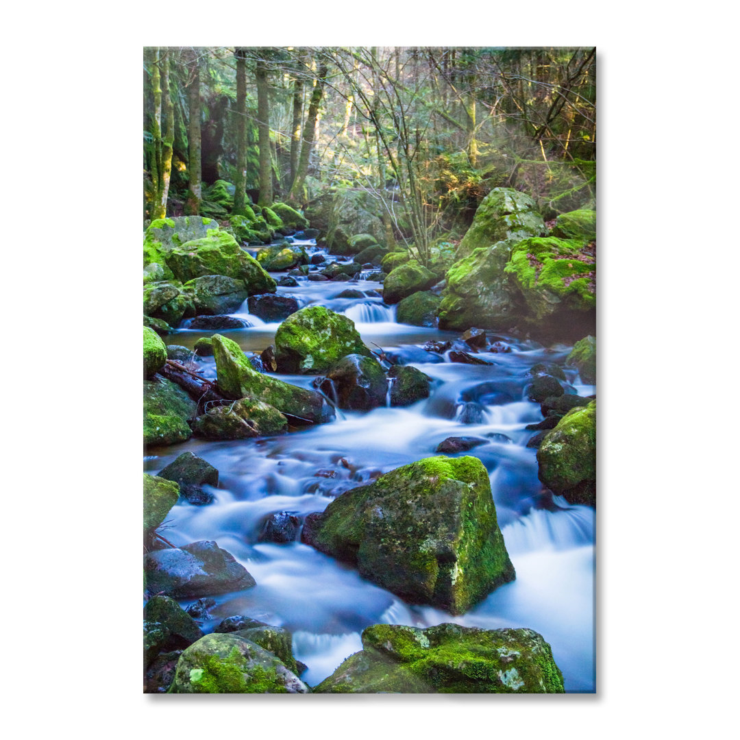 Ungerahmtes Foto auf Glas "Wild Stream"