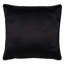 Roxanne Square Pillow Cover & Insert