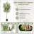 182cm Faux Maple Tree in Vase