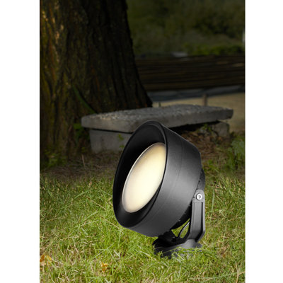 Lundquist Black Spotlight
