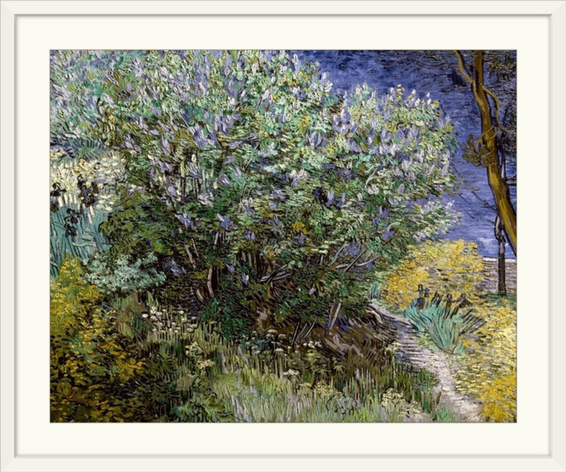 «Lilac Bush» par Vincent Van Gogh, reproduction d'art, H 20 po x l 23 po x P 1 po, Cadre blanc