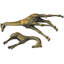 Animals Decorative Object