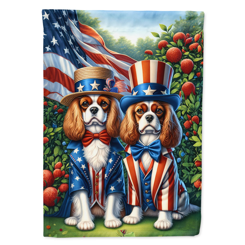 Drapeau «All American House», Épagneul Cavalier