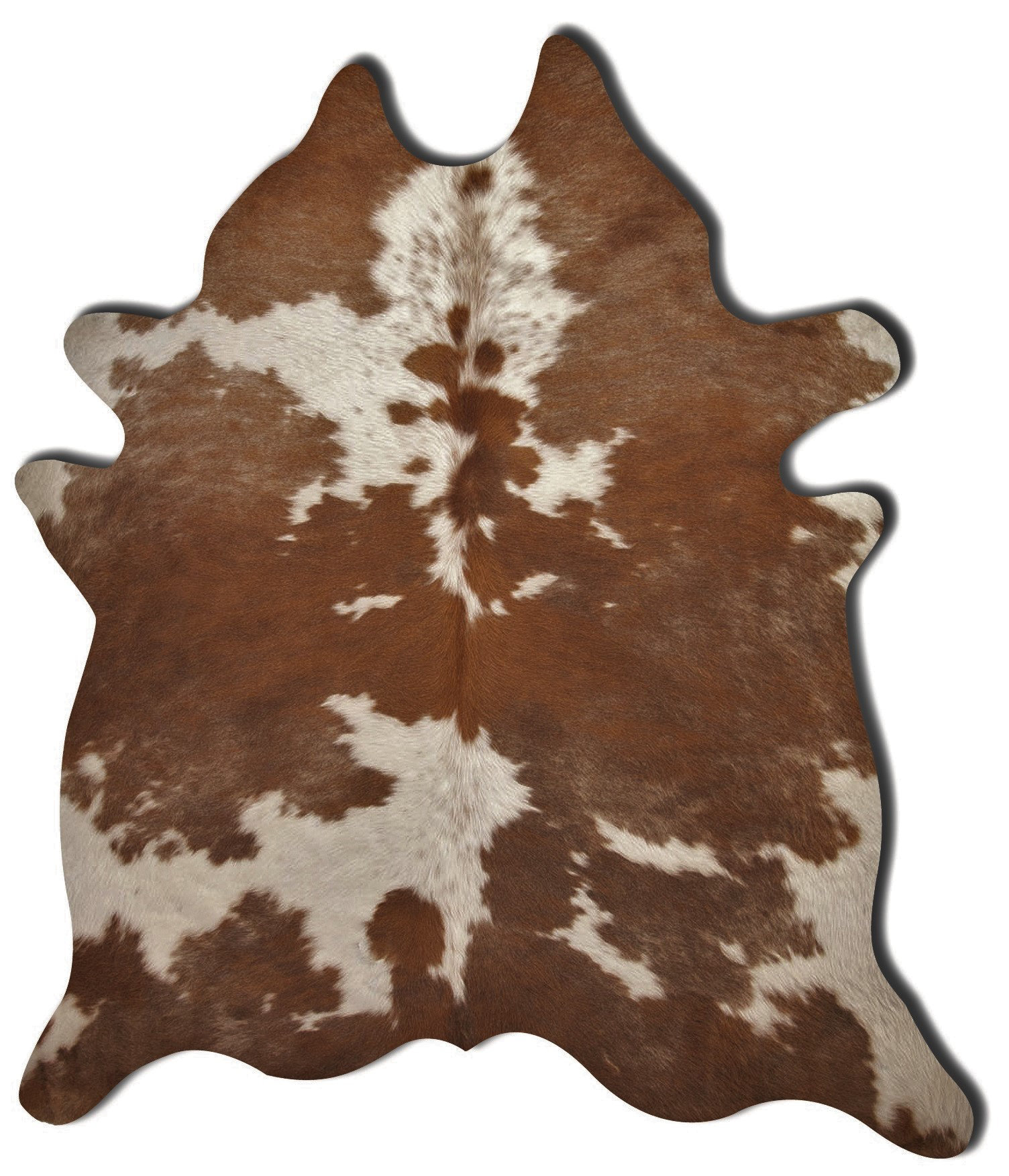 Angelou 6' X 7' Brown and White Genuine Cowhide Area Rug