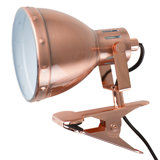 Rosalyn Metal Clip On Lamp