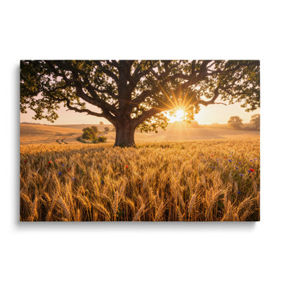 Multicolor Canvas Wheat Field and Oak Tree Landscape Painting, Painterly Wall Art for Living Room Dining Room and Bedroom
