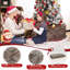 Christmas Decorative Accent-1800155806