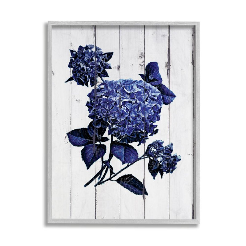 Charmant hortensia bleu délavé - reproduction d'art, Giclée encadrée noir minuit, H 20 po x l 16 po