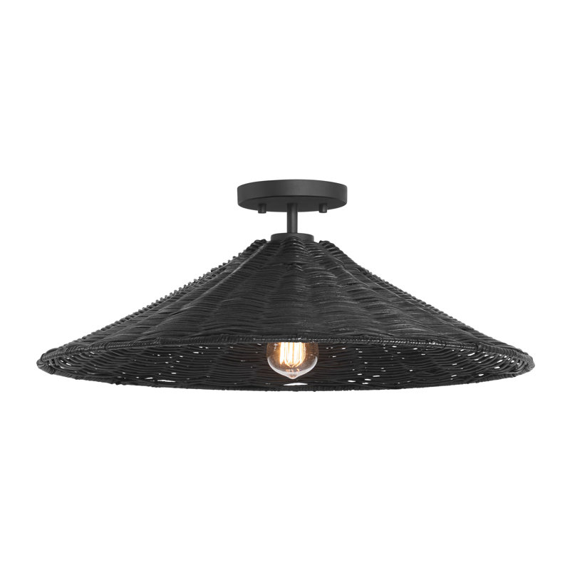 Plafonnier 1 lumière Lilliana en noir mat, Noir mat
