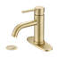 Single Hole Bathroom Faucet with Drain Assembly-94264470-116788131