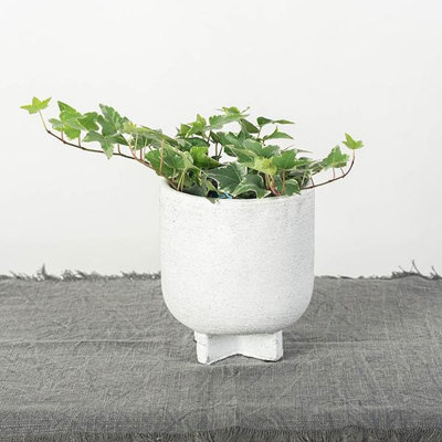 Cache pot Masatoshi