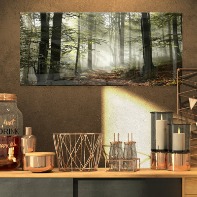" Light In Dense Fall Forest With Fog "