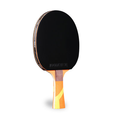 Raquette de tennis de table
