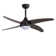 Frejus Ceiling Fan with LED Lights