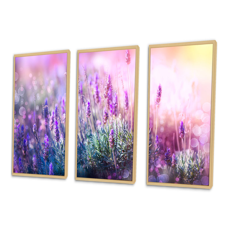 «Growing And Blooming Lavender», 3 pièces, cadre flottant, impression sur toile, Érable, H 20 po x l 36 po