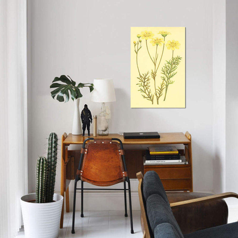 « newberry leucampyx », impression sur toile, H 26 po x l 18 po x P 1,5 po