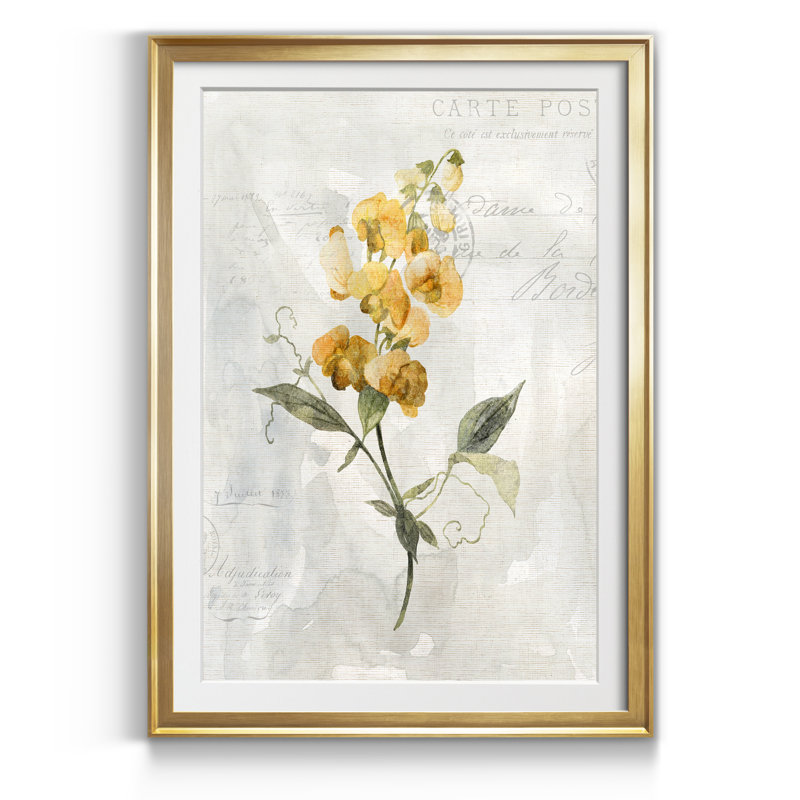 Canari Lin Sweet Pea - Reproduction d'art sur papier encadrée, H 26,5 po x l 36,5 po x P 1,5 po, Doré