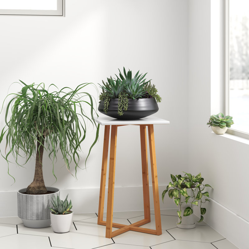 Support pour plante à piédestal Alfie-Thomas, Blanc