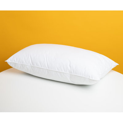 Ensemble de 2 coussins Rifz Bsc Collection