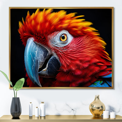 " Red Parrot Colourful Parrot "