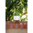 Blanding Handmade Pot Planter-2092974642