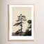 Serenity Print by Peter Dušek-560221191-560221194