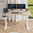 Latysha Dual Motor Electric Height Adjustable Curved Standing Desk-1517718088-1510095606