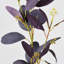 Branche d'eucalyptus artificiel Audet (1 tige)-640572630